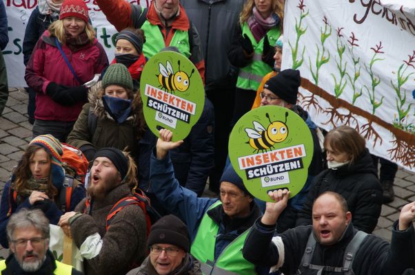 BUND mit "Insekten schützen"-Schildern bei der WHES 2019 in Tübingen