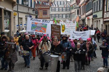 Demozug durch Tübingen bei der WHES-Demo 2019