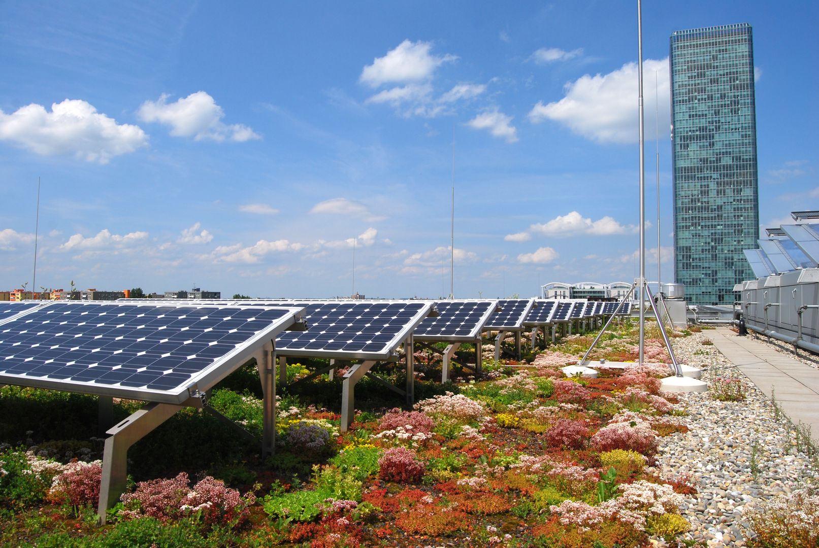 Photovoltaik und blütenreiche Begrünung = insektenfreundliche Energie :-)! Foto: ZinCo GmbH