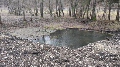 Frisch ausgebaggerter Teich im winterlichen Laubwald bei Trochtelfingen, umgeben von dunklem Erdaushub und Kies, mit ruhiger Wasseroberfläche